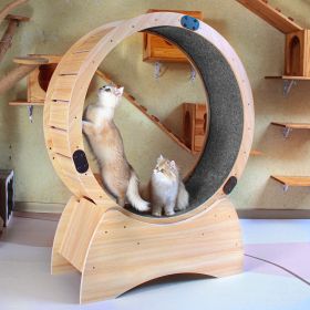 Cat Exercise Wheel â€šÃ„Ã¬ Running, Spinning, and Scratching Fun, Cat Treadmill with