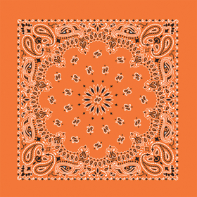 BANDANNA Paisley Orange 12pk