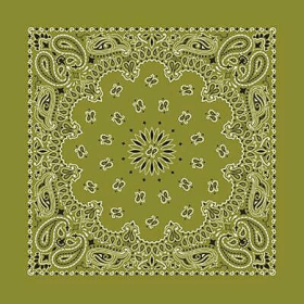 BANDANNA Paisley Olive 12pk