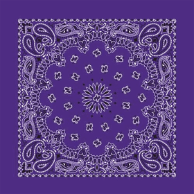 BANDANNA Paisley Purple 12pk