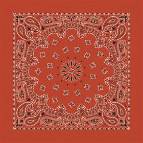 BANDANNA Paisley Terracotta 12pk