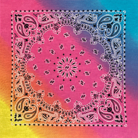 BANDANNA Paisley Pastel 12pk