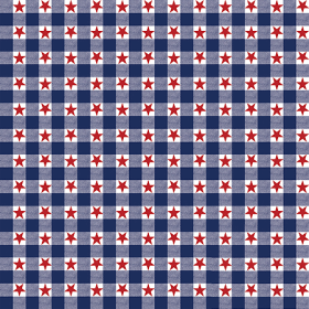 BANDANNA Patriotic Checkers