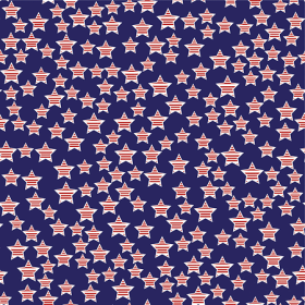 BANDANNA Patriotic American Stars