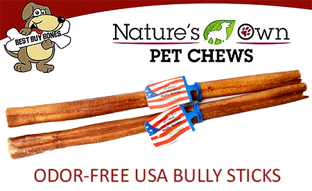 BEST BUY BONES Premium Bully Stick - 12 inch - 25 ct