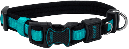 COASTAL Inspire Leash 1" x 6 Aqua