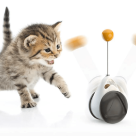 Cats Tumbler Swinging Ball