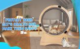 Cat Exercise Wheel â€šÃ„Ã¬ Running, Spinning, and Scratching Fun, Cat Treadmill with