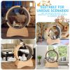 Cat Exercise Wheel â€šÃ„Ã¬ Running, Spinning, and Scratching Fun, Cat Treadmill with