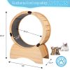 Cat Exercise Wheel â€šÃ„Ã¬ Running, Spinning, and Scratching Fun, Cat Treadmill with