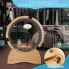 Cat Exercise Wheel â€šÃ„Ã¬ Running, Spinning, and Scratching Fun, Cat Treadmill with