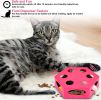 FluffyDream Interactive Cat Maze Box Toy; Electrical Cat Exercise Teaser Toy with Plush Tail & Ball Contains Bells; Fluffy Toys; Toys for Indoor Cats;