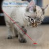 Laser Pointer Interactive Cat Chase Toy, USB Rechargeable Red Laser Light Pointer Training Tool