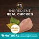 Purina One +Plus True Instinct Dry Cat Food Chicken, Grain-Free, 14.4 lb Bag