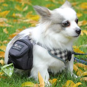 Pet Dog treat pouch Portable Multifunction Dog training bag Outdoor Travel Dog Poop Bag Dispenser Durable Pet accessories (Color: Black)