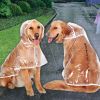 Raincoats for dogs;  raincoats;  large dog raincoat;  medium dogs;  large dogs;  puppies;  pet clothes