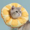 Elizabeth circle kitten licking-proof shame collar headgear dog collar sterilization collar pet jewelry