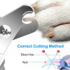 Dog Nail Clippers Pet Cat Nail Toe Trimmer Stainless Steel Grooming Tool Free Nail File Small Medium Large Dogs L Size