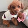 Small and medium dog plush coat; warm and soft dog coat; with scarf; chrismas pet clothing