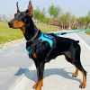 Pet Harness And Leash Set For Dog & Cat; Adjustable No Pull Service Dog Vest Harness For Walking