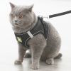 Reflective Pet Harness And Leash Set For Dog & Cat; No Pull Dog Vest Harness With Breathable Mesh