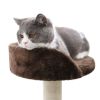 Indoor Cat Scratching Post Small Cat Tree Tower