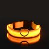 Glow-In-The-Dark Pet Collar For Dog & Cat; LED Dog Collar For Night Walking; USB charging