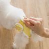 Dog physiological pants; Washable Female Dog Diapers & Male Dog Diapers; pet anti-harassment diapers; dog diapers