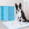Pet Training 1 Bag Pads Super Absorbent Pet Diaper Disposable Healthy Nappy Mat Pet Dog Leak-proof Pee Pads with Quick-dry Surface