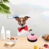 Pet Toy Training Called Dinner Small Bell Footprint Ring Dog Toys For Teddy Puppy Pet Call