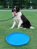 Soft Non-Slip Dog Flying Disc Silicone Game Frisbeed Anti-Chew Dog Toy Pet Puppy Training Interactive Dog Supplies